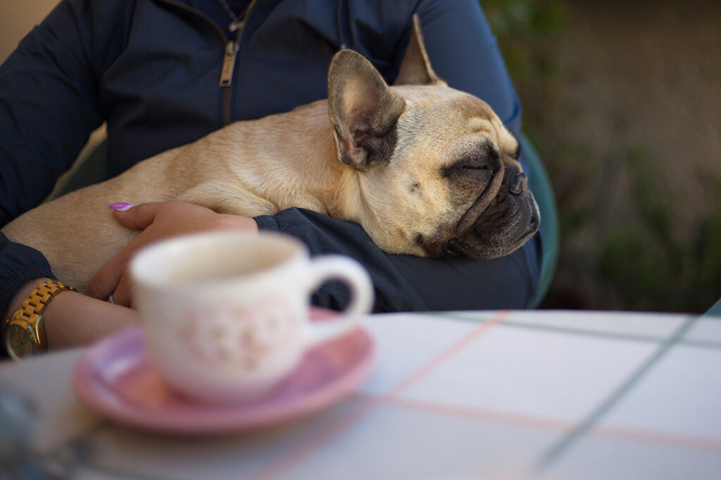 A person holding a sleeping dog with a cup of tea on the table in front of them